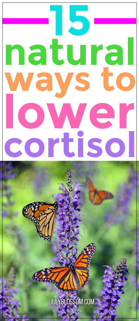 Cortisol is the primary stress hormone in our bodies. Although it is an important hormone, necessary for functions such as increasing your metabolism and regulating energy, elevated levels can throw your whole body in a crisis! Here are 15 ways on how to lower cortisol levels naturally. 