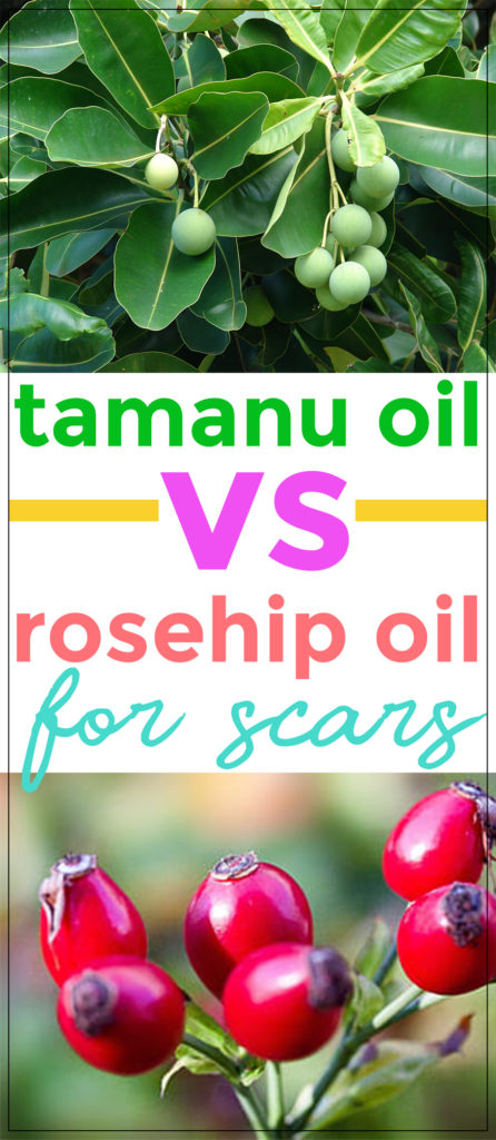 In the quest for finding an all-natural beauty oil for fading away scars, you may come across two prominent oils that stand out – tamanu oil or rosehip oil for scars. Which one do you choose? Are you in a conundrum? Maybe this article can help you in your dilemma! 