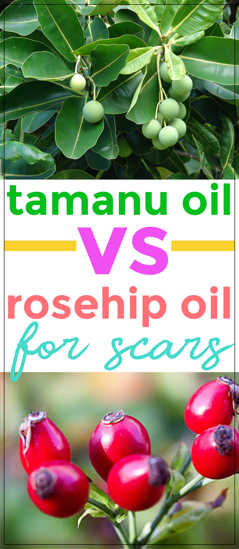 In the quest for finding an all-natural beauty oil for fading away scars, you may come across two prominent oils that stand out – tamanu oil or rosehip oil for scars. Which one do you choose? Are you in a conundrum? Maybe this article can help you in your dilemma!