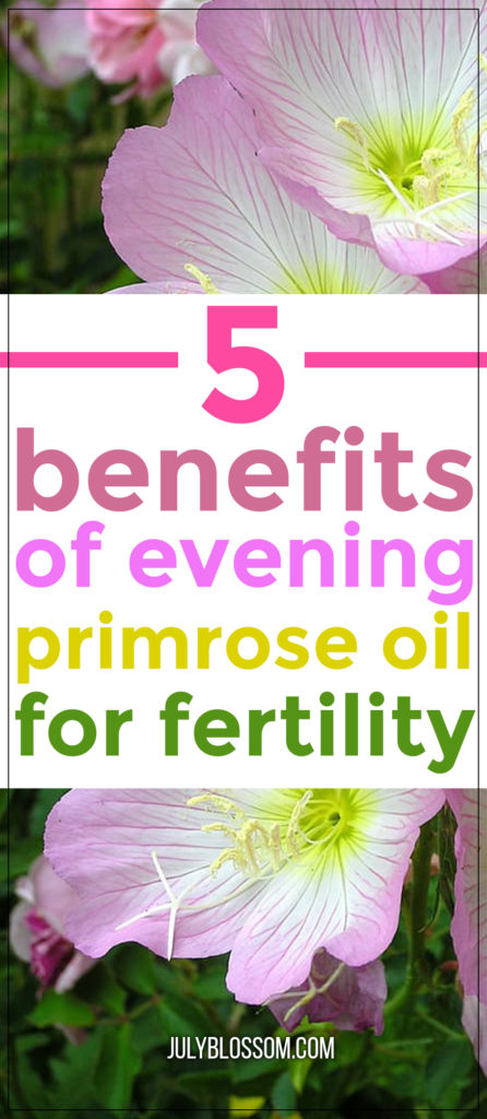 Evening primrose oil is a much-loved natural supplement for its powerful properties that help treat female health issues. Here, we uncover how to use evening primrose oil for fertility so read on! 