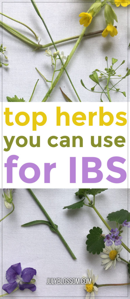 Here are some of the top 10 herbs for irritable bowel syndrome. The good thing with herbs is that they help ease IBS symptoms safely with no side effects that conventional drugs can bring up. 