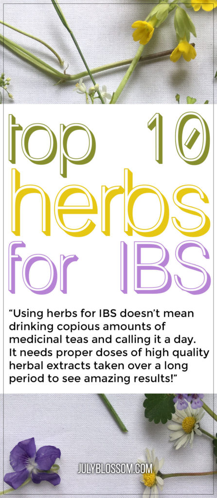 Here are some of the top 10 herbs for irritable bowel syndrome. The good thing with herbs is that they help ease IBS symptoms safely with no side effects that conventional drugs can bring up. 