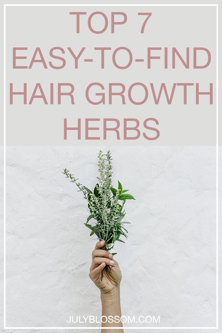 Women since long ago have been using herbs for their hair care. What remedies have they been using? One of them is herbs. This article talks about the top 7 European herbs for hair growth and how to use them so keep reading.