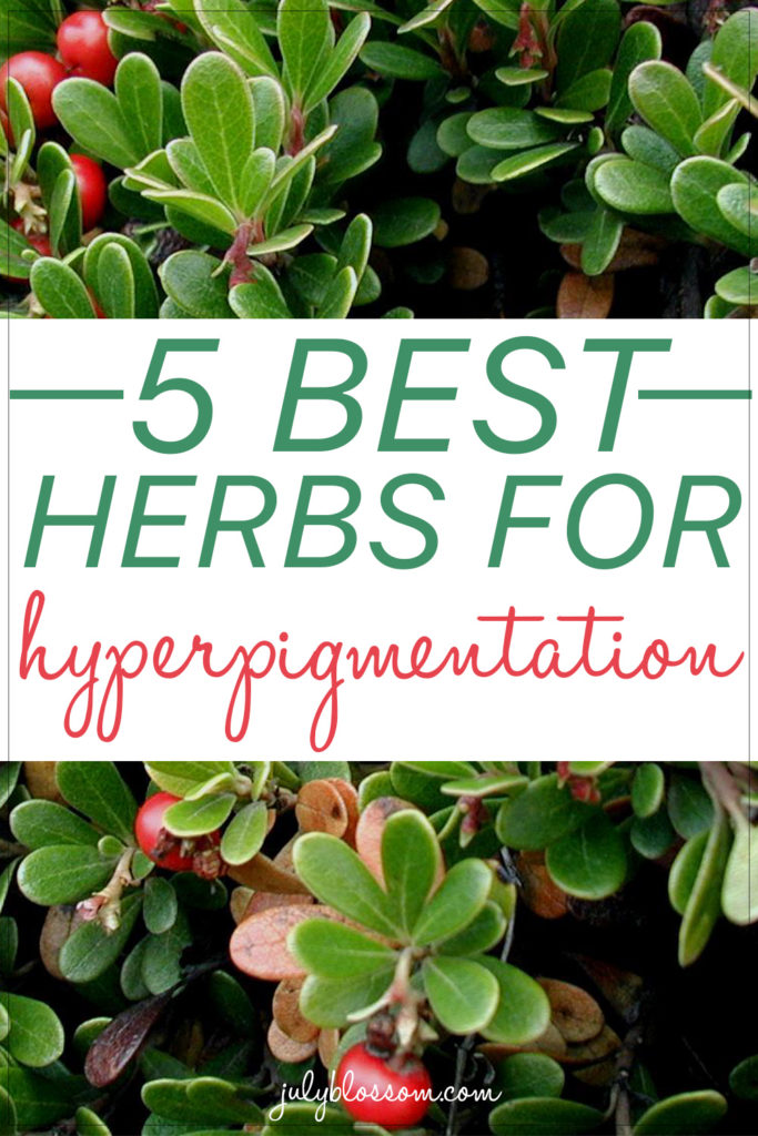 Hyperpigmentation is a common but can be aesthetically unappealing to some people. If you have it and want it gone, don’t worry – there is a good range of ingredients from Nature that can be used to reduce its appearance. Uncover the top herbs for hyperpigmentation in this article.
