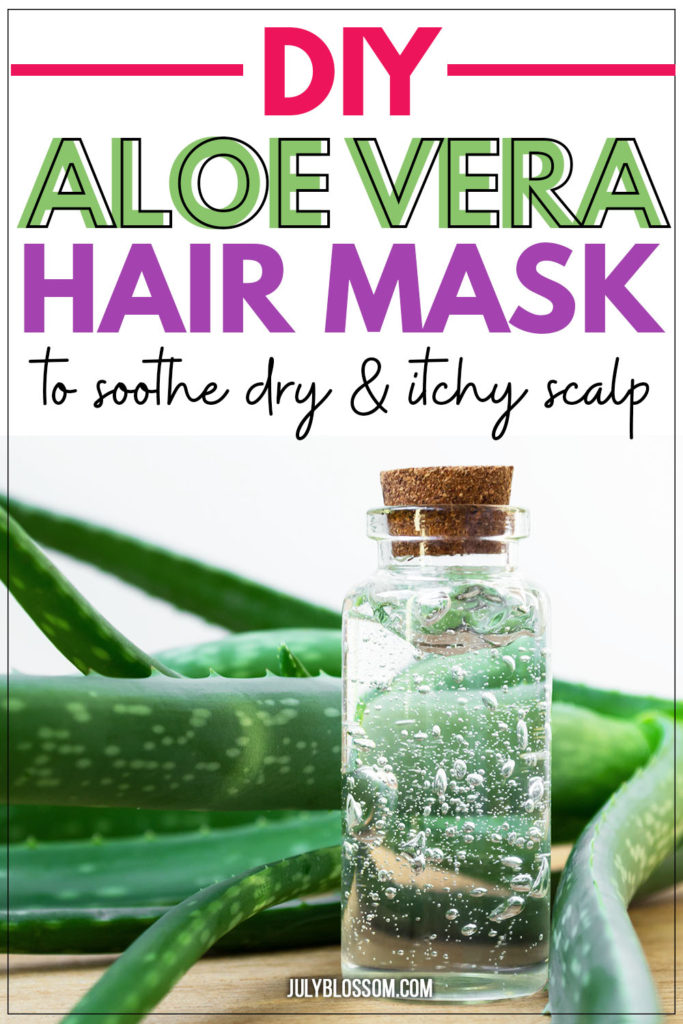 Aloe vera is the super healing power plant we can’t get enough of! If you’re suffering from a dry and itchy scalp, aloe vera can help. It helps cool and soothe sensitive scalp skin, providing immense relief. Check out the recipe for a DIY aloe vera hair mask for dry and itchy scalp below! 