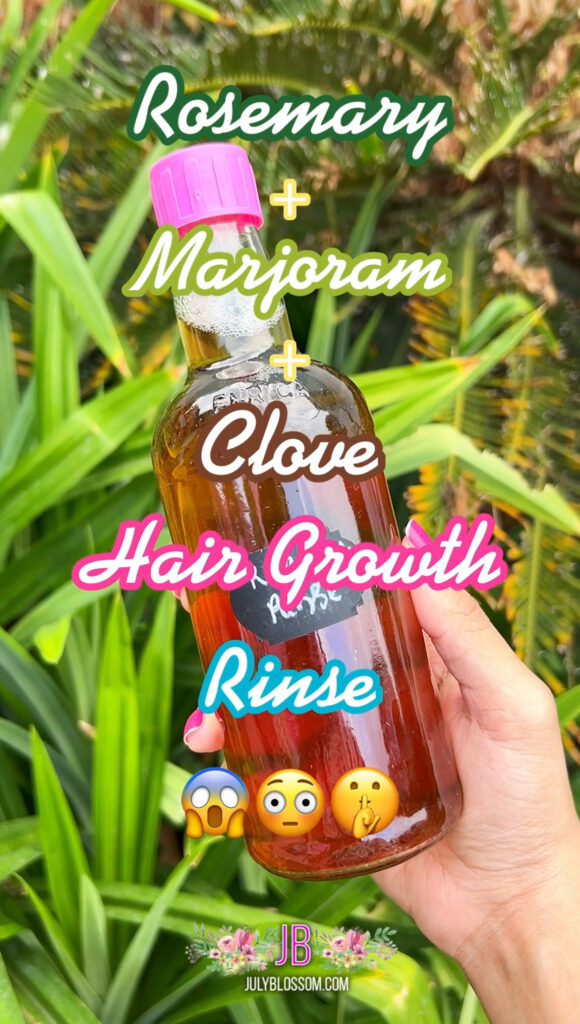 A marjoram, clove, and rosemary hair rinse is packed with natural goodness - rosemary boosts circulation for growth, marjoram soothes the scalp, and clove strengthens strands. Together, they leave your hair refreshed, shiny, and revitalized! 💆‍♀️🌸 